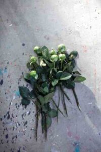 Freegans: The Refined Art of Dumpster Diving Image